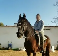 Eija, 31